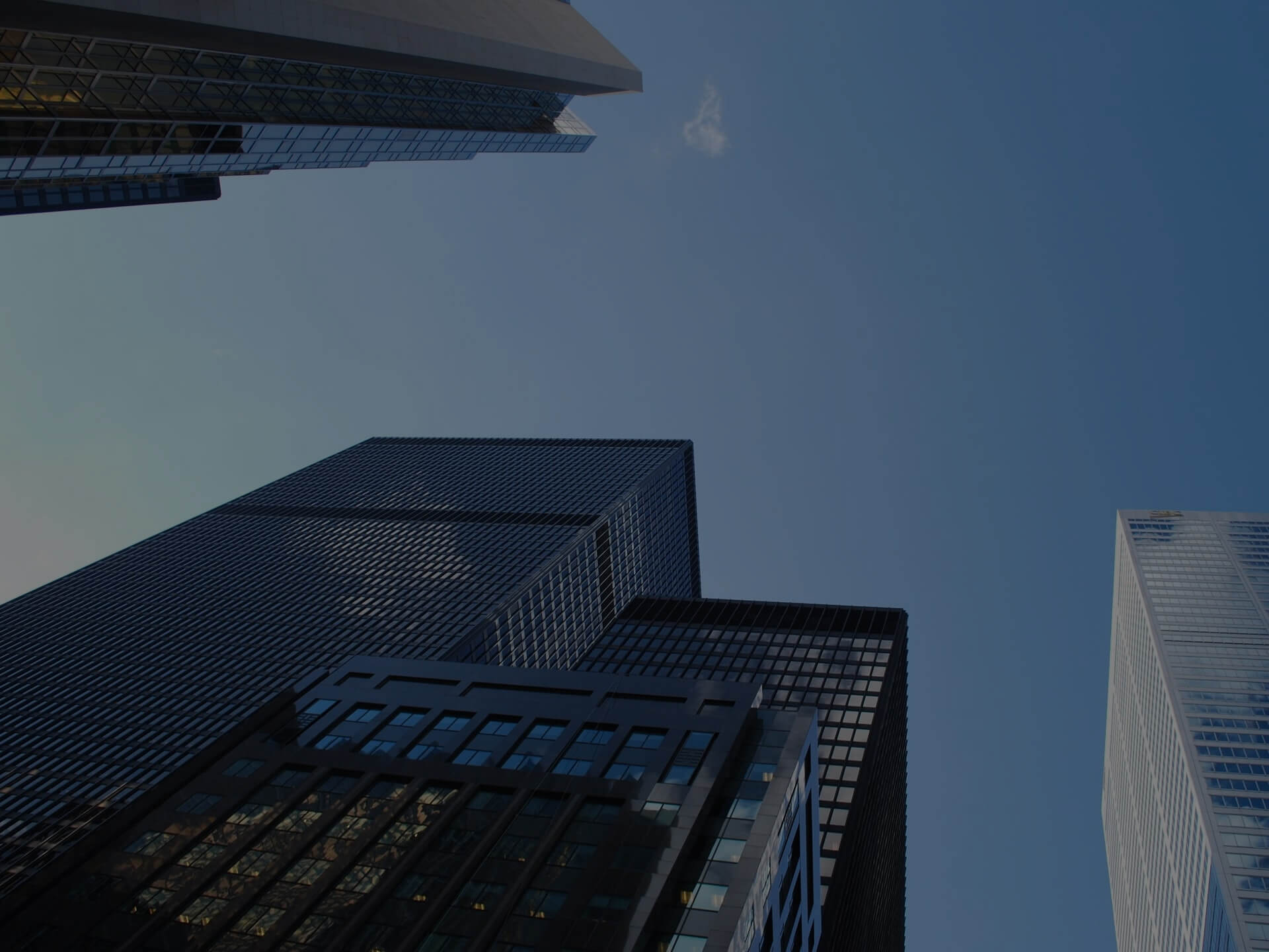 HR system hr specialist head hunter