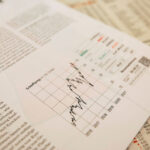 HR system hr specialist head hunter